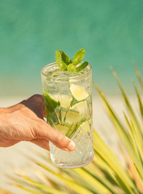 Mojito