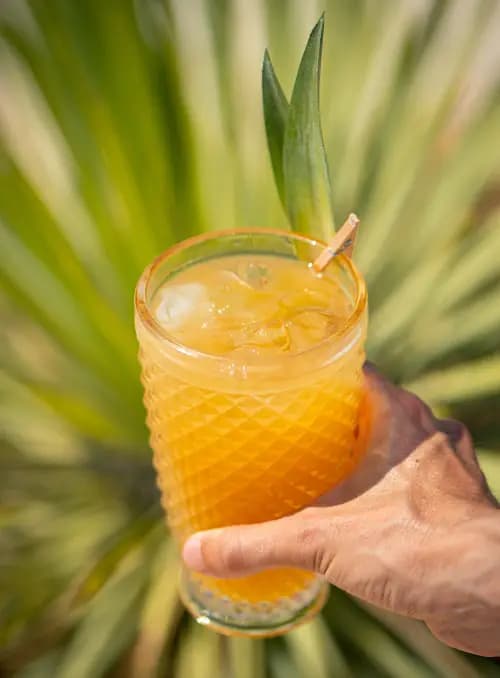 Tropical